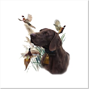 German Shorthaired Pointer and beautiful pheasants Posters and Art